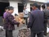 dscn0177
