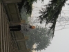 dscn0188