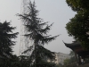 dscn0190