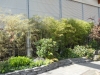 dscn0276