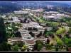 ms-redmond-29