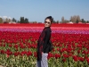 tulipfestival15