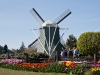 tulipfestival26
